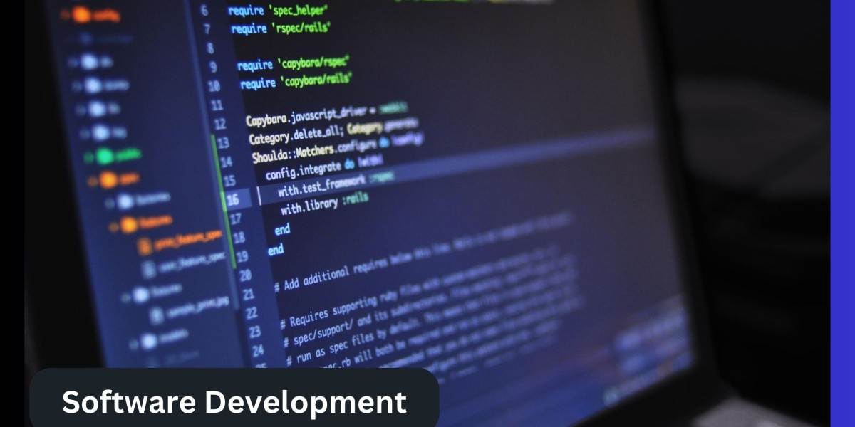Why Custom Software Development is Important