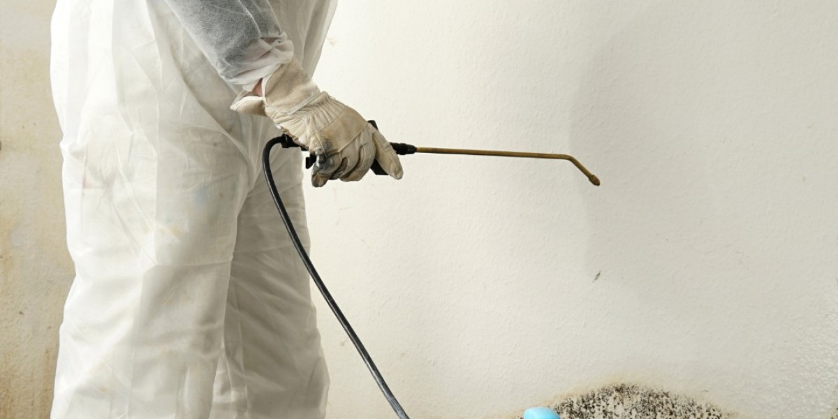 Radiant Recovery: Rainbow Mold Removal Services Restore Your Home