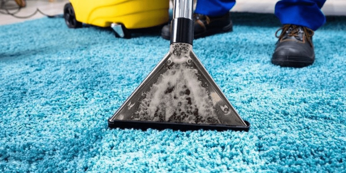  Carpet Cleaning Myths Debunked: What Really Works