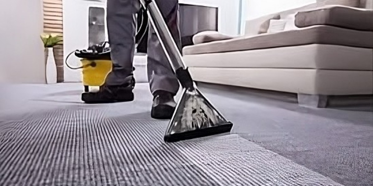 Rug Restoration Rookies: Discover Expert Carpet Cleaning