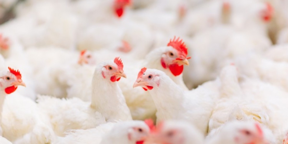 Global Chicken Market will be US$ 253.25 Billion by 2032
