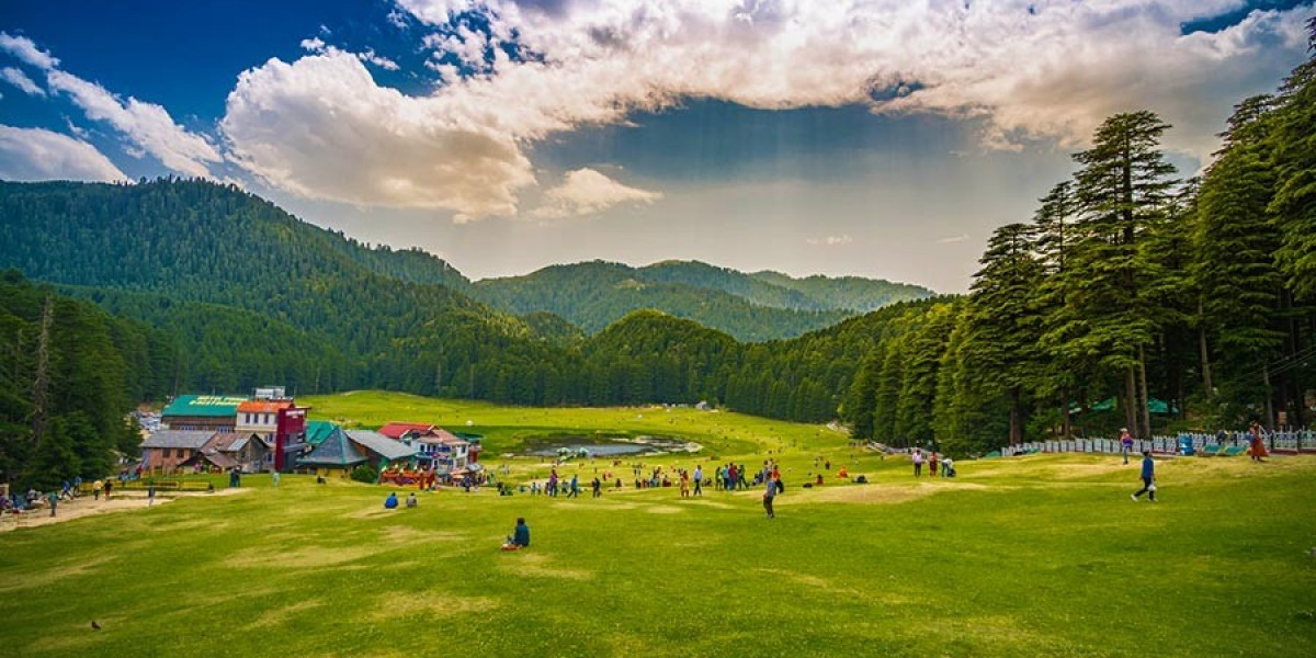 Mystical Meadows: A Visual Journey through Himachal's Scenic Landscapes