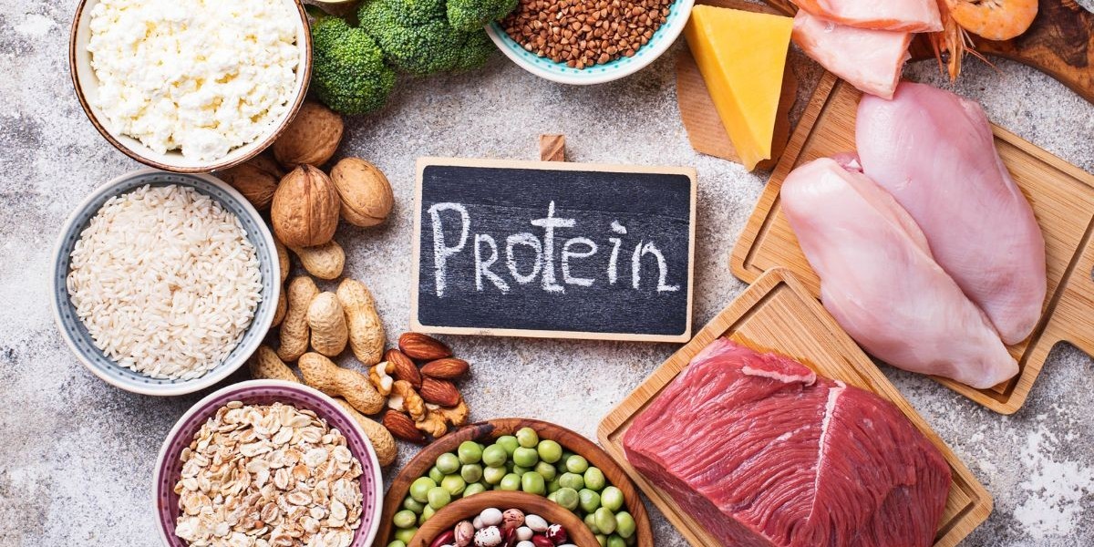 Plant Protein Market: Rising Demand and Innovations Drive Growth
