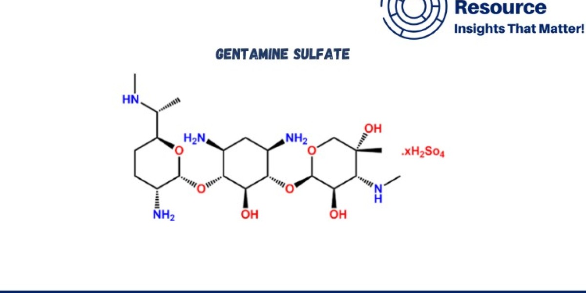 Gentamine Sulfate Production Process with Cost Analysis: Comprehensive Insights