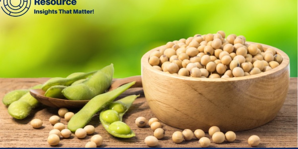 Comprehensive Analysis of Soybean Price Trends: Market Insights and Forecast