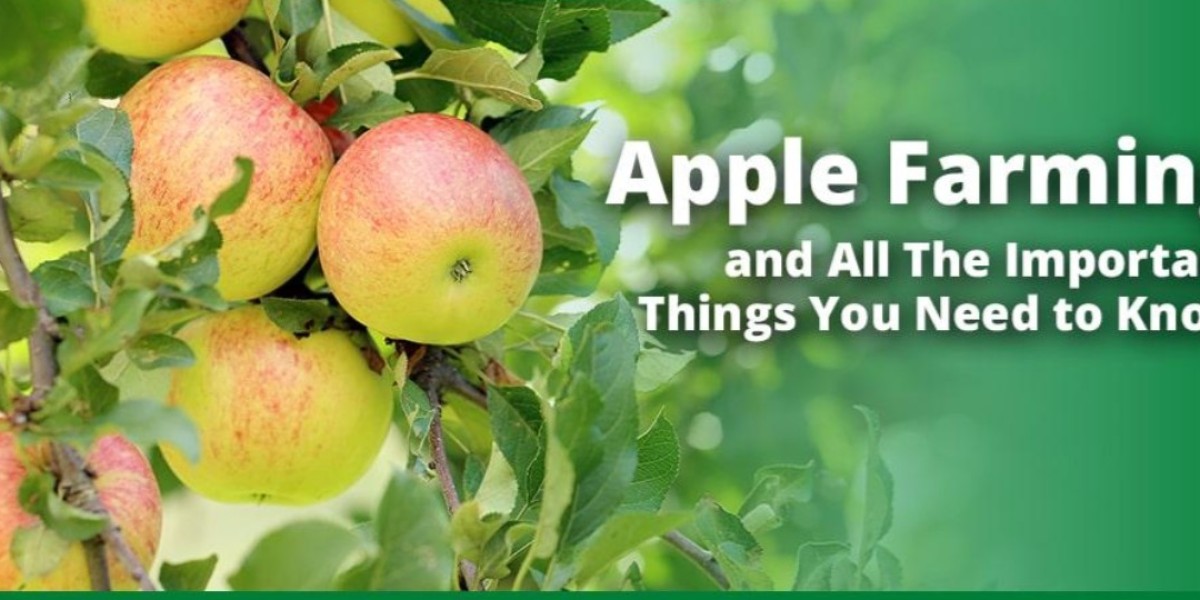 A Detailed Handbook for Apple Cultivation in India
